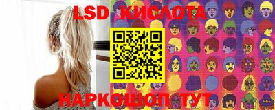 прущие грибы Нальчик