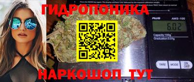 прущие грибы Нальчик