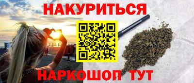 прущие грибы Нальчик