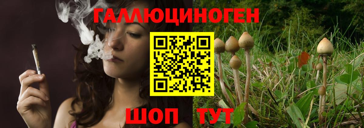 Галлюциногенные грибы Psilocybine cubensis  сколько стоит  Волгоград  Вход с VPN 